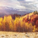 косів карпати