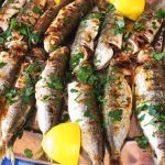 sardine